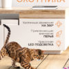 Интерактивная игрушка для кошек с перьями